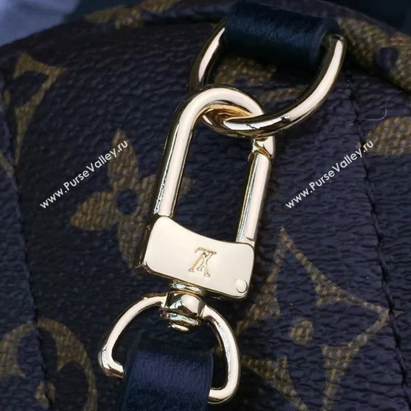 Louis Vuitton Backpack 73130