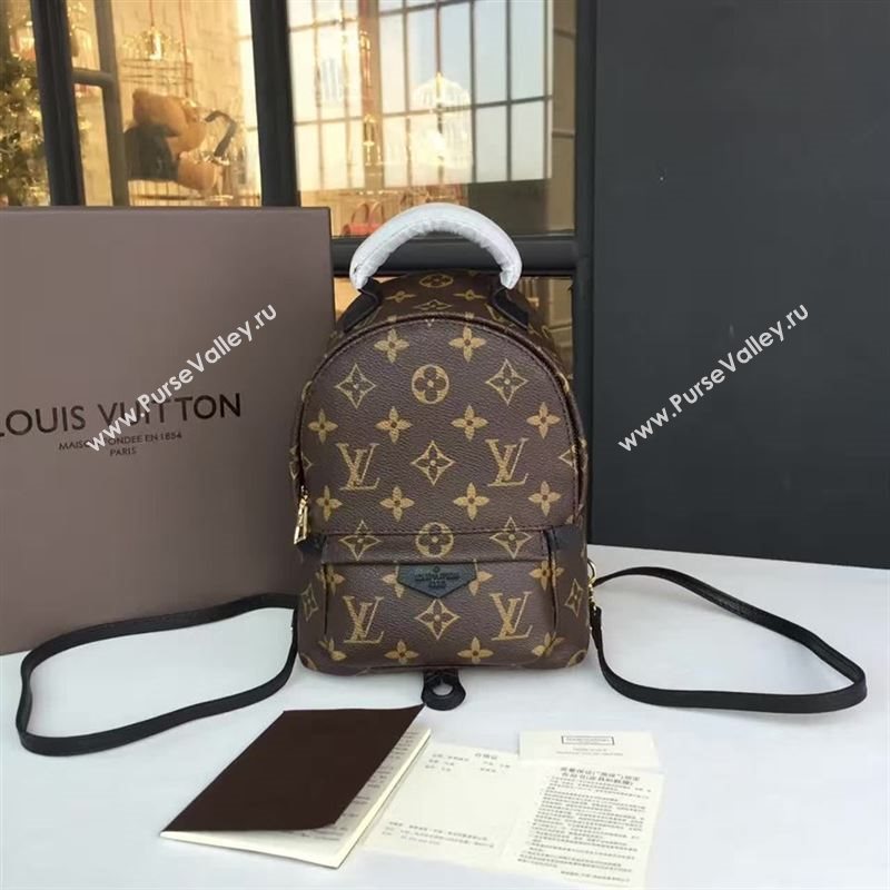 Louis Vuitton Backpack 73130