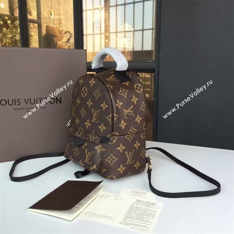 Louis Vuitton Backpack 73130