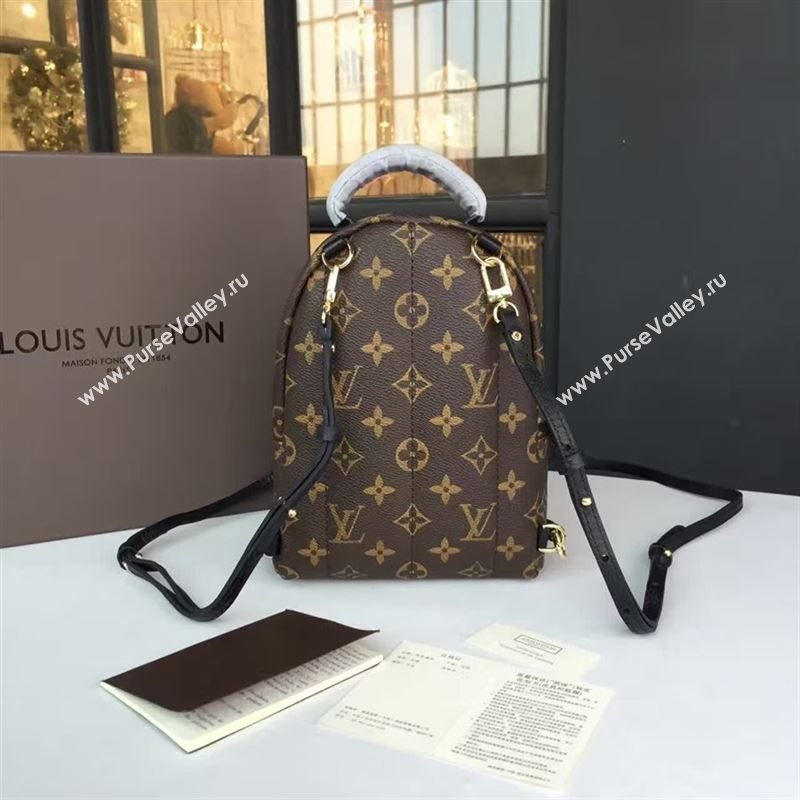 Louis Vuitton Backpack 73130