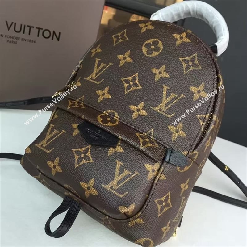 Louis Vuitton Backpack 73130