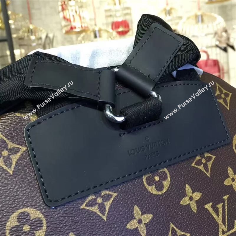 Louis Vuitton backpack 83616