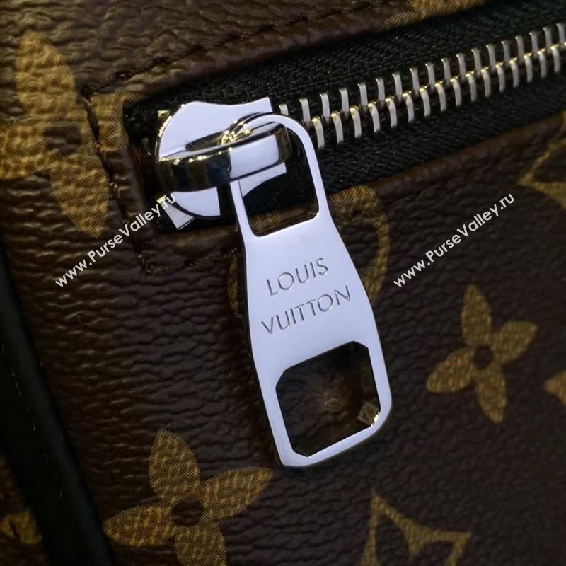 Louis Vuitton backpack 83616