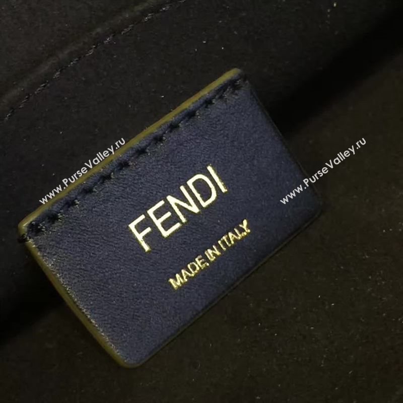 Fendi KANI 85622