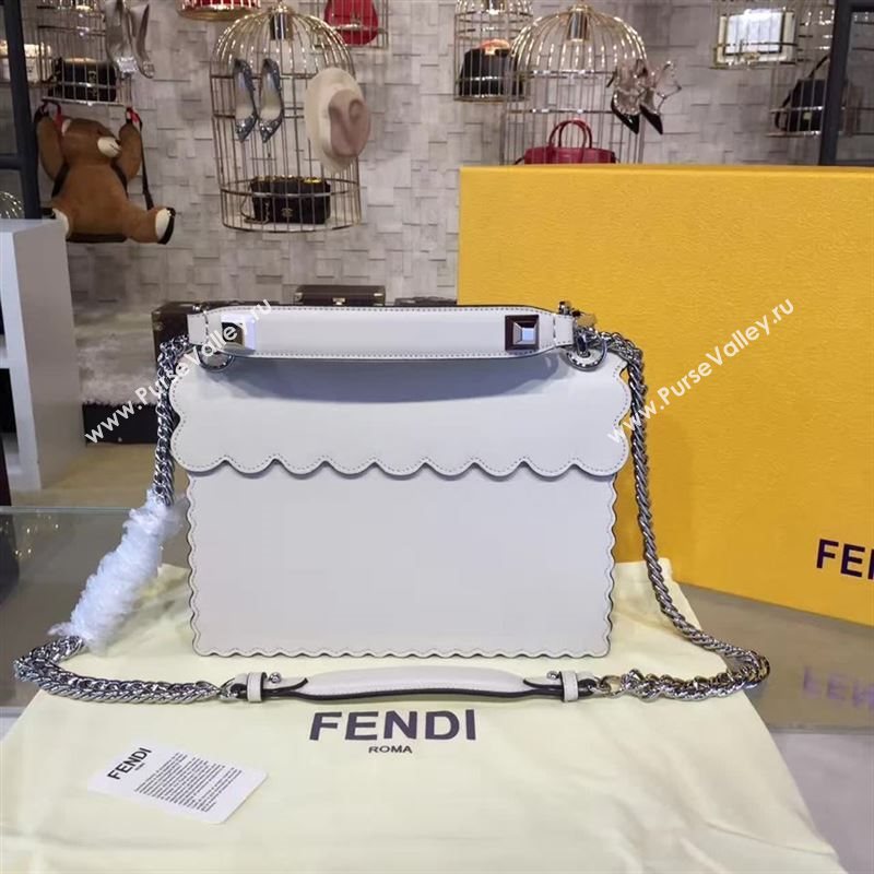Fendi KANI 85666