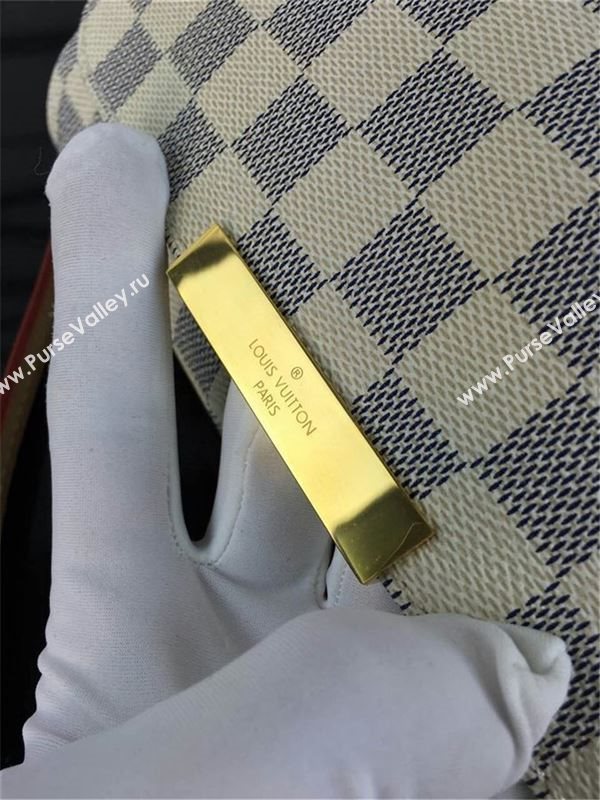 Louis Vuitton Favorite MM 73717