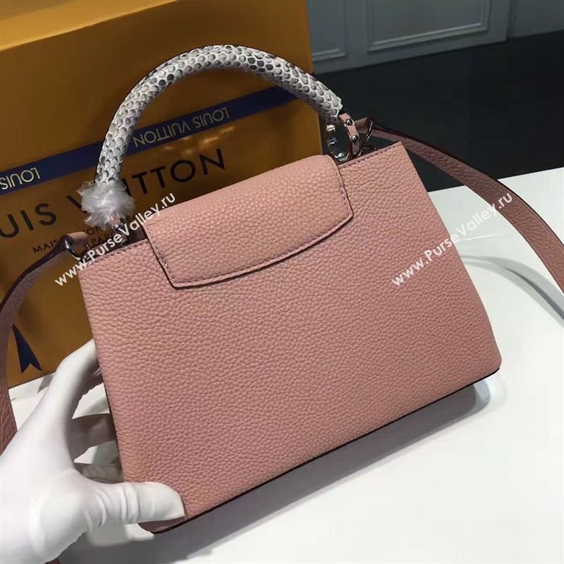 LOUIS VUITTON CAPUCINES 95503