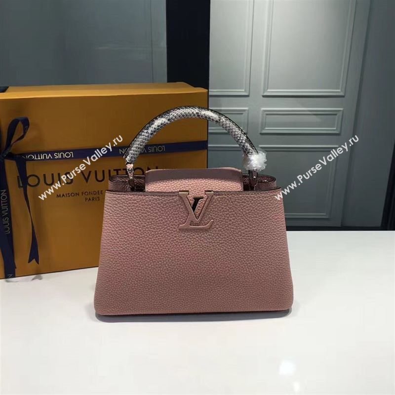 LOUIS VUITTON CAPUCINES 95503