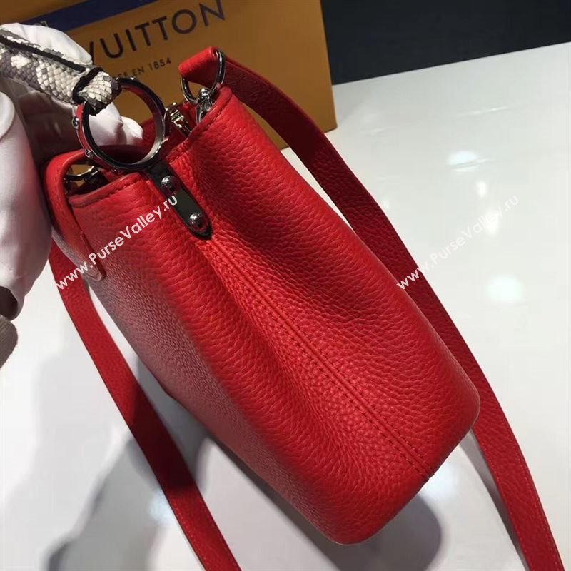 LOUIS VUITTON CAPUCINES 95438