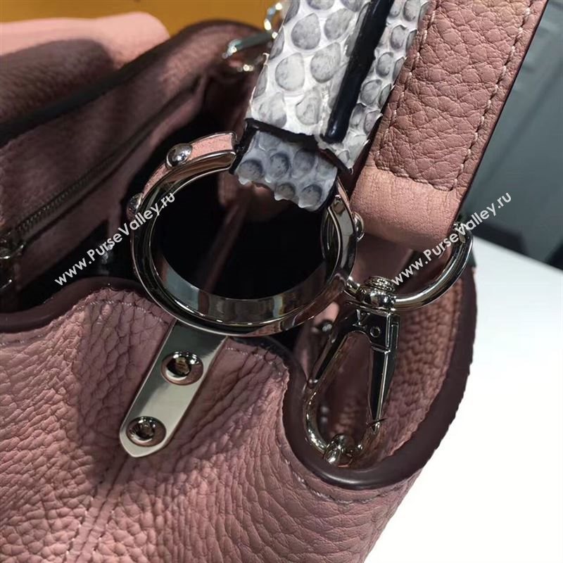 LOUIS VUITTON CAPUCINES 95503