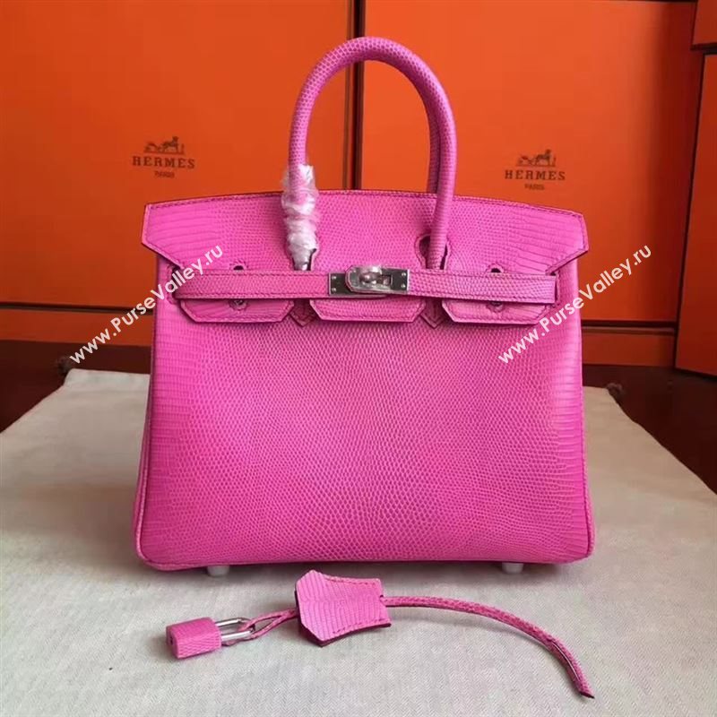 Hermes birkin 25 105250