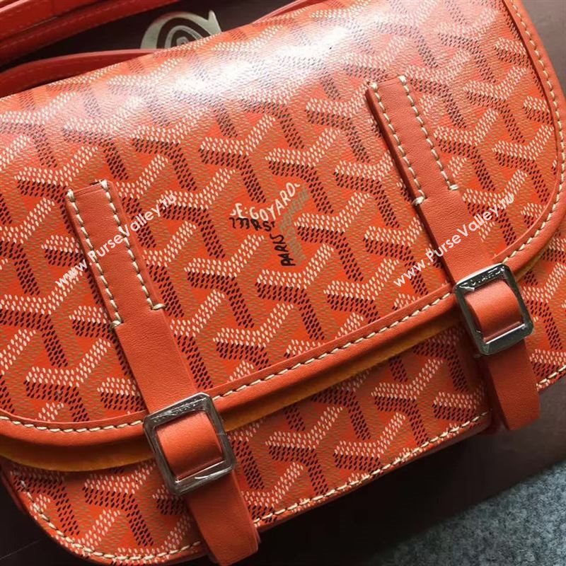 Goyard Shoulder Bag 125510