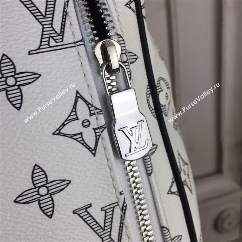 Louis Vuitton Backpack 116084