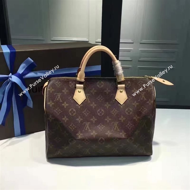 LOUIS VUITTON SPEEDY 30 113297