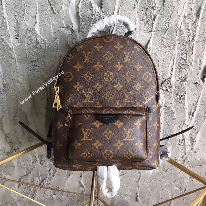 Louis Vuitton Monogram Backpack 113248