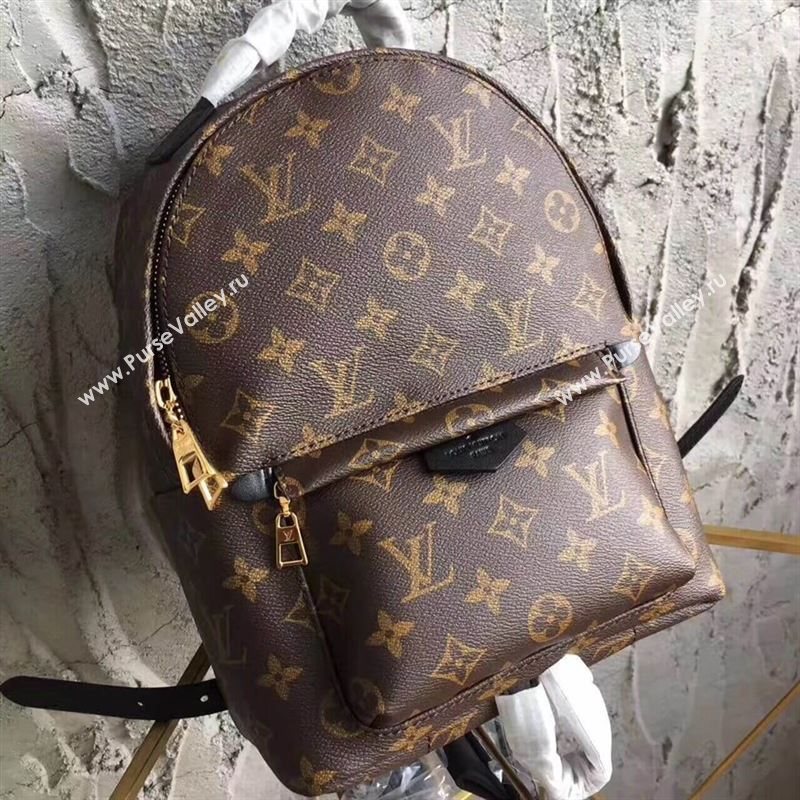 Louis Vuitton Monogram Backpack 113248