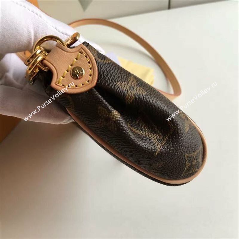 Louis Vuitton EVA 63920