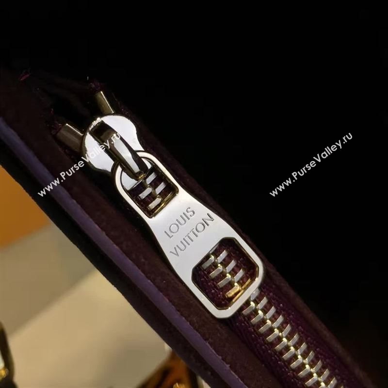 Louis Vuitton POCHETTE LOUISE 71258