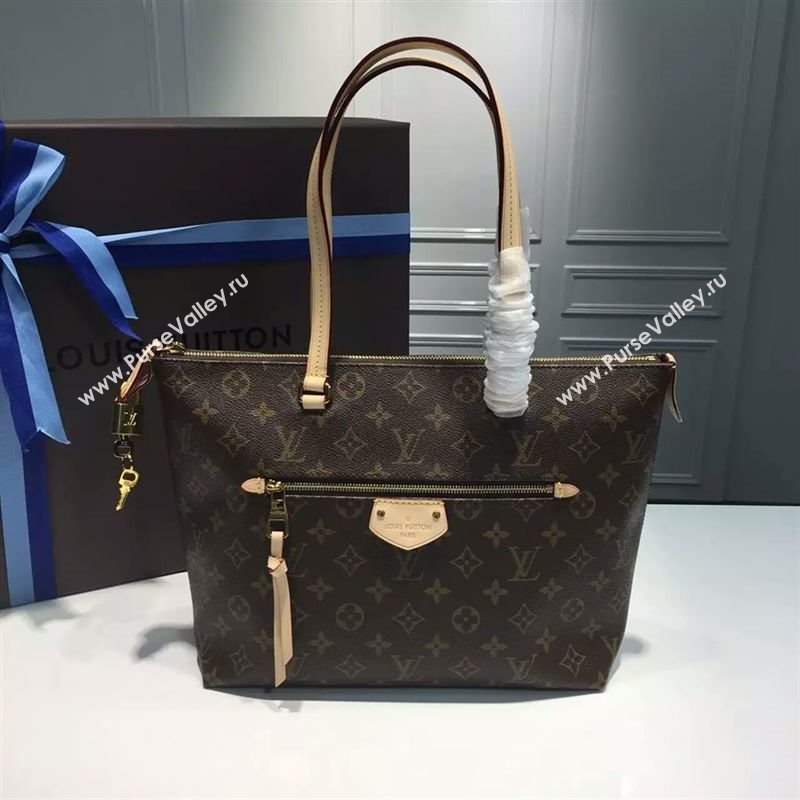 Louis Vuitton IeNA PM 70506