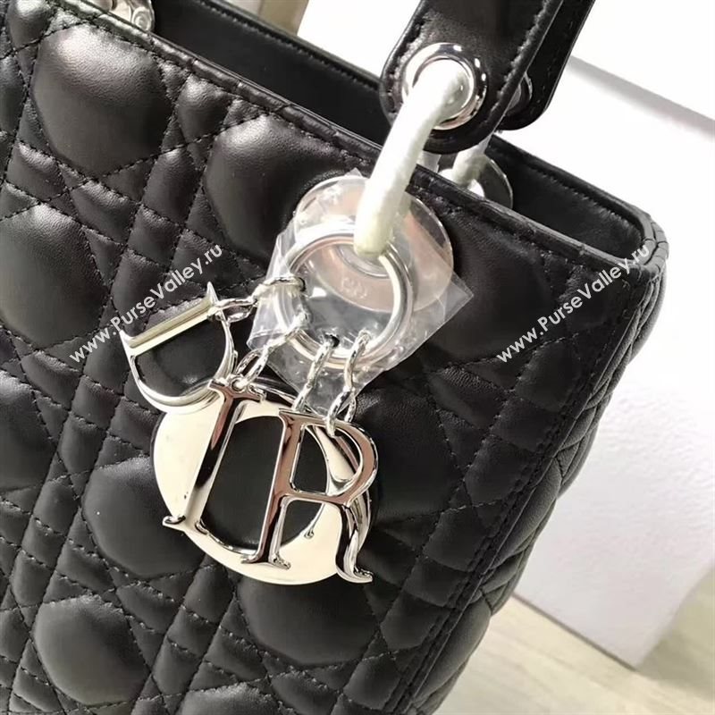 Lady Dior 130595