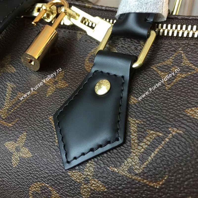 Louis Vuitton SPEEDY 25 139038