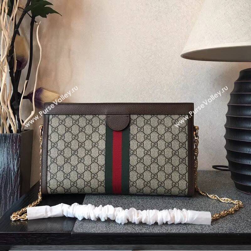 GUCCI Ophidia Bag 145620