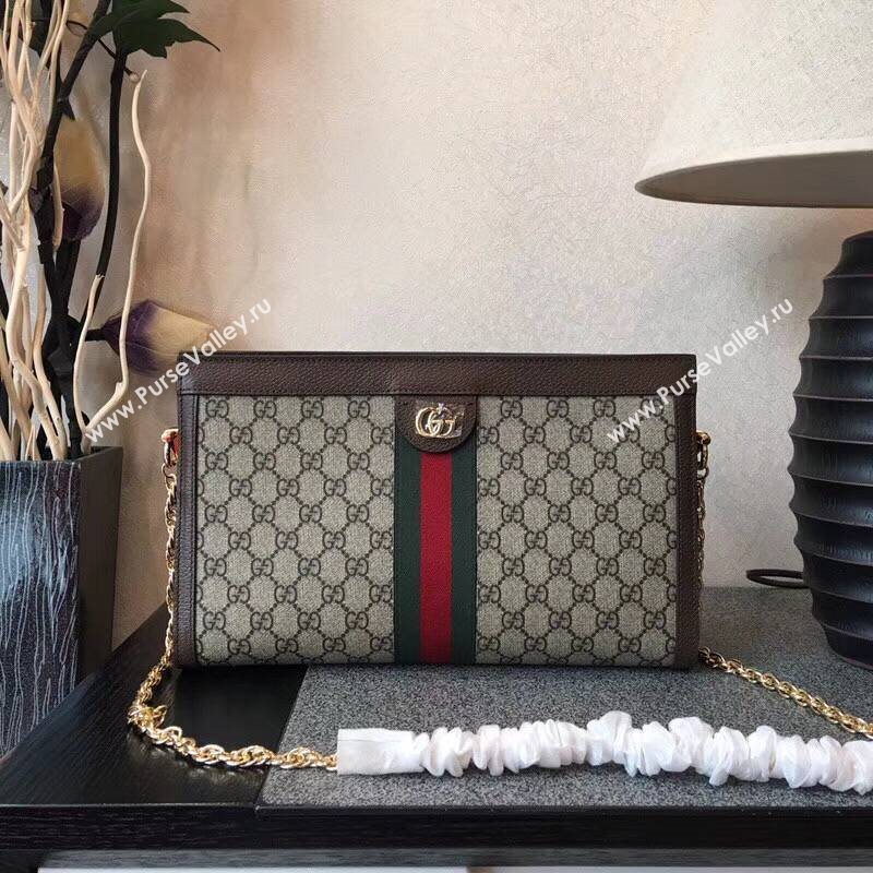 GUCCI Ophidia Bag 145620