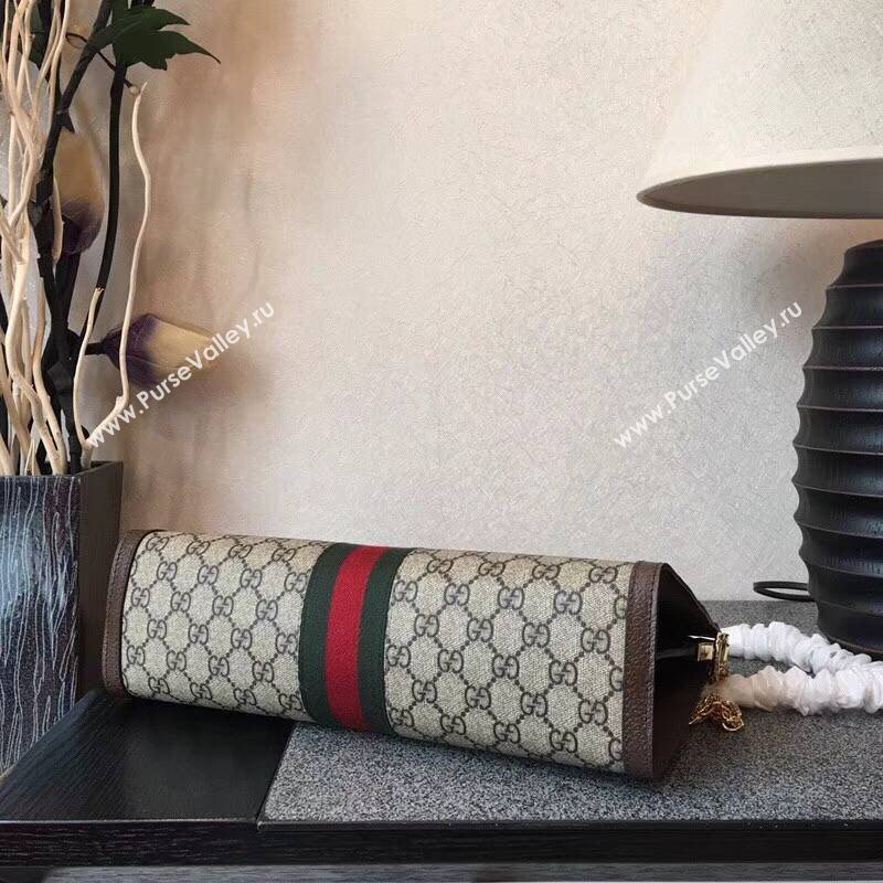 GUCCI Ophidia Bag 145620