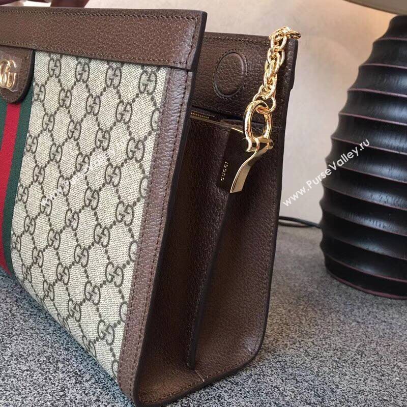 GUCCI Ophidia Bag 145620