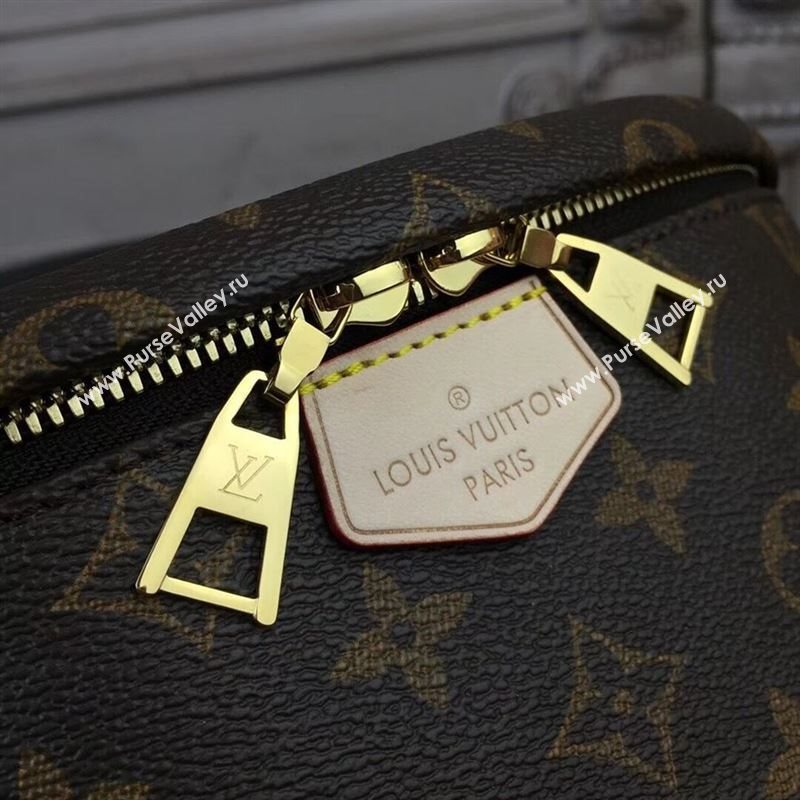 Louis Vuitton Bumbag 142742