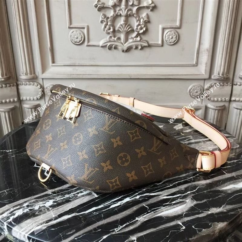 Louis Vuitton Bumbag 142742