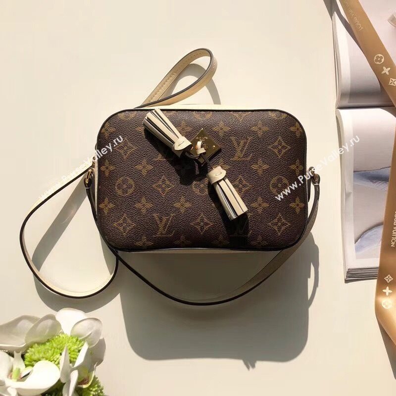 Louis Vuitton Saintonge 161052