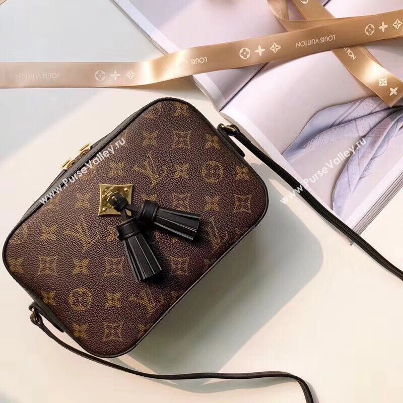 Louis Vuitton Saintonge 161017