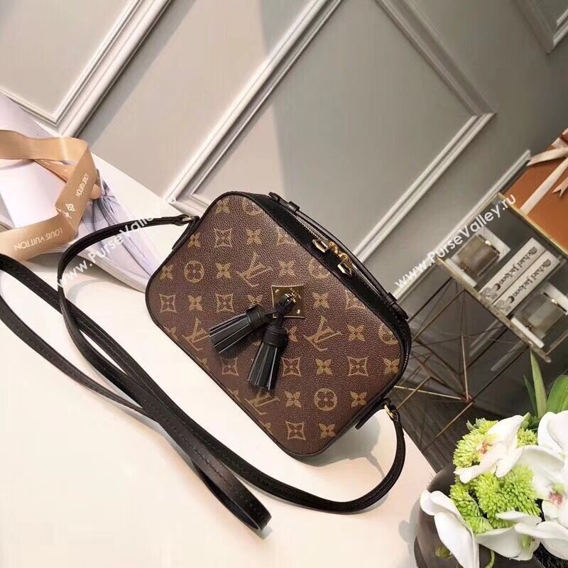 Louis Vuitton Saintonge 161017