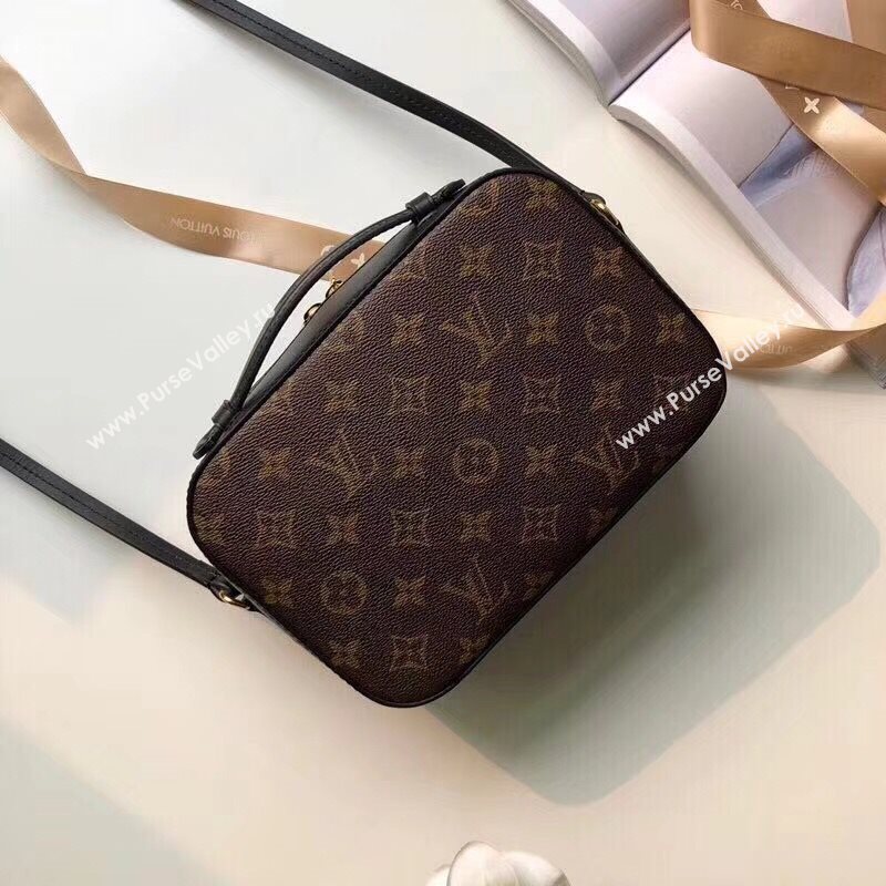 Louis Vuitton Saintonge 161017