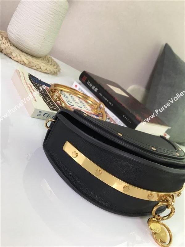 Chloe Nile bag 169959