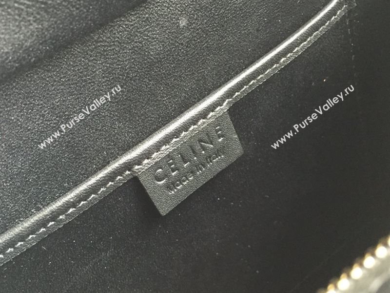 Celine Luggage Nano Bag 179009