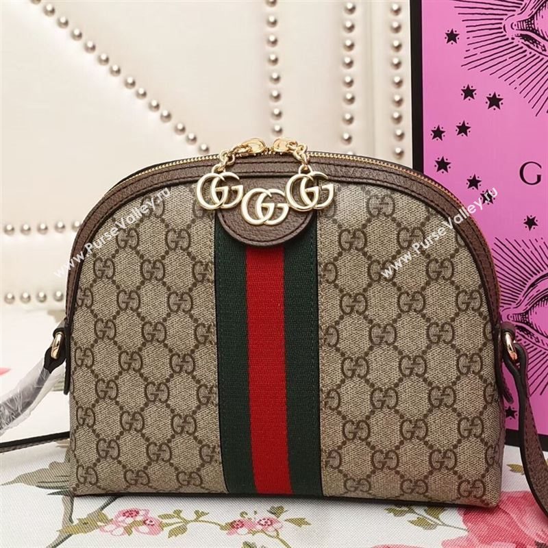 Gucci Ophidia Bag 177739