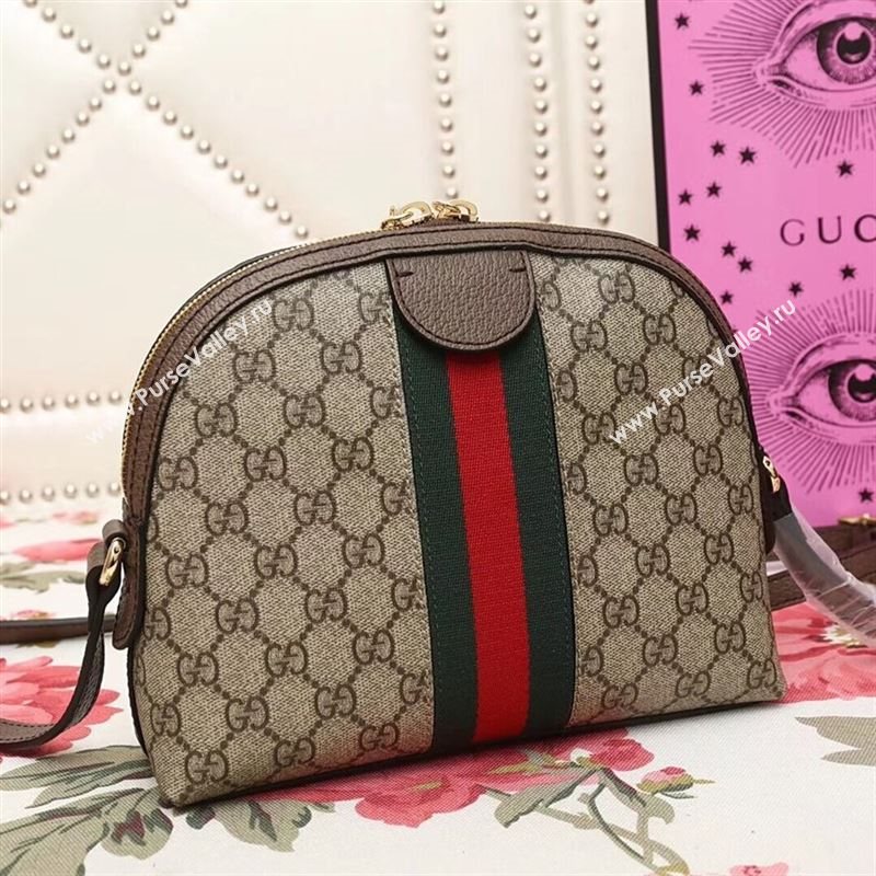 Gucci Ophidia Bag 177739