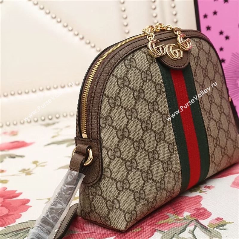 Gucci Ophidia Bag 177739