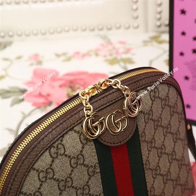 Gucci Ophidia Bag 177739