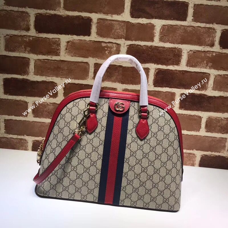 Gucci Ophidia Bag 177762