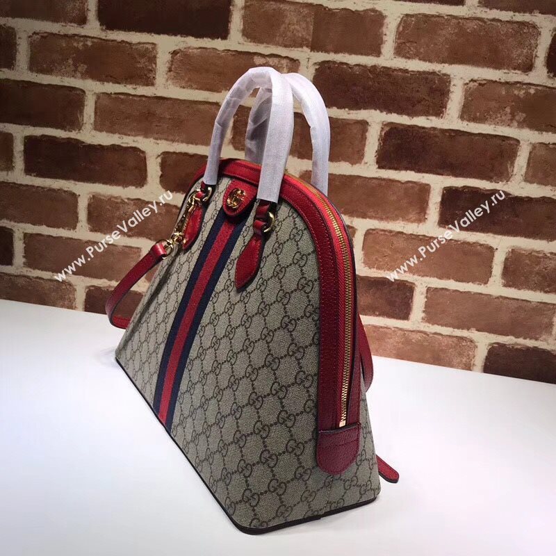 Gucci Ophidia Bag 177762