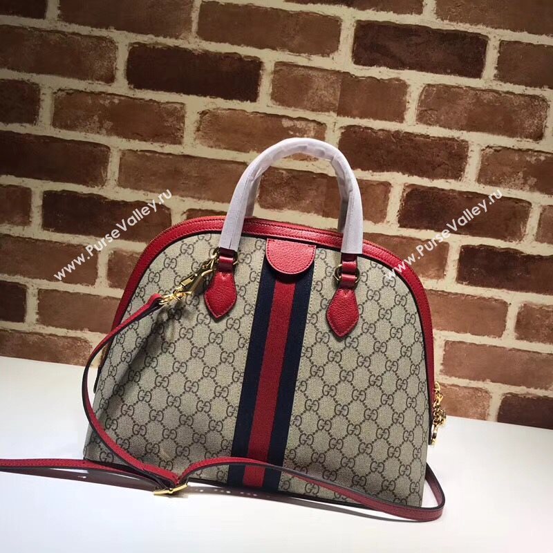 Gucci Ophidia Bag 177762