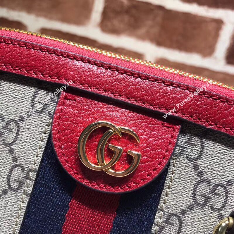 Gucci Ophidia Bag 177762