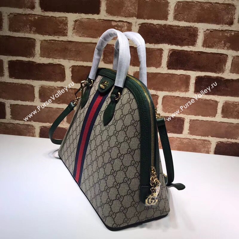 Gucci Ophidia Bag 177761