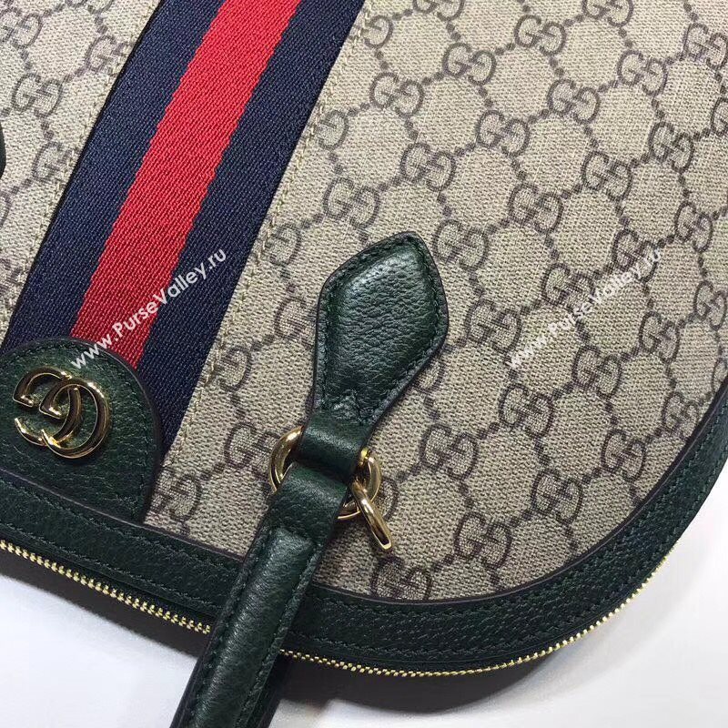 Gucci Ophidia Bag 177761