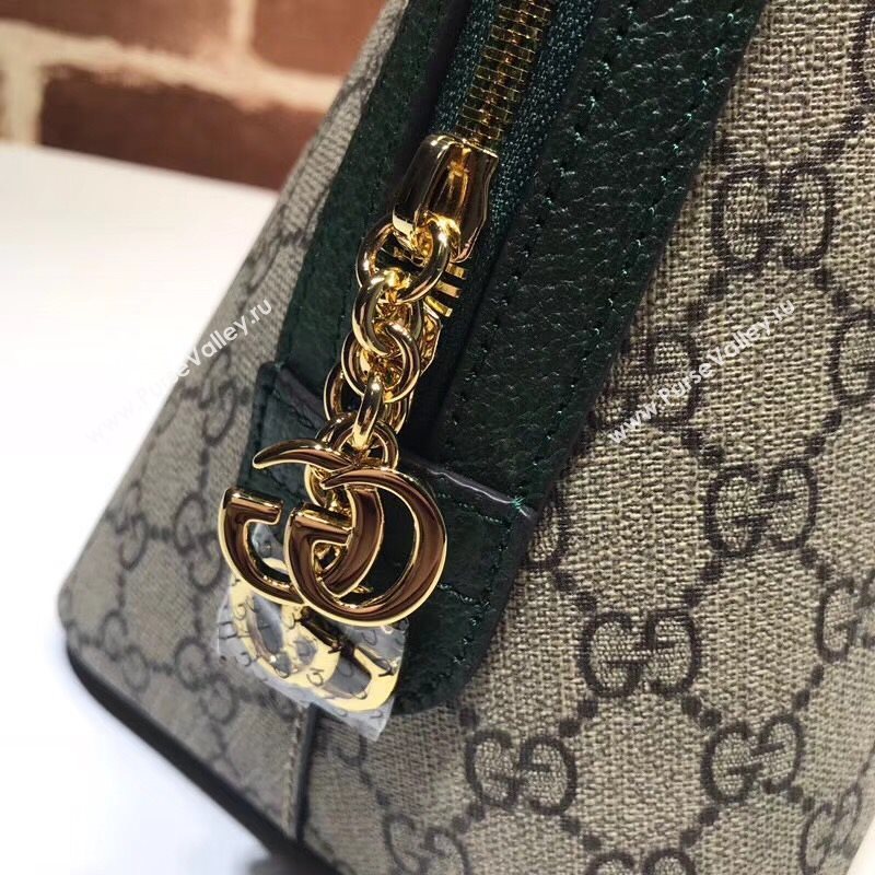 Gucci Ophidia Bag 177761