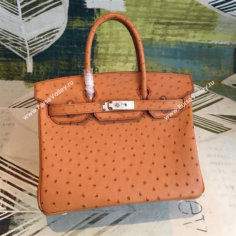 Hermes birkin 184454