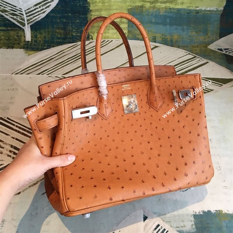 Hermes birkin 184454